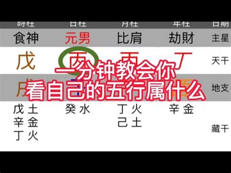 宥五行屬什麼|五行屬什麼？風水大師揭秘